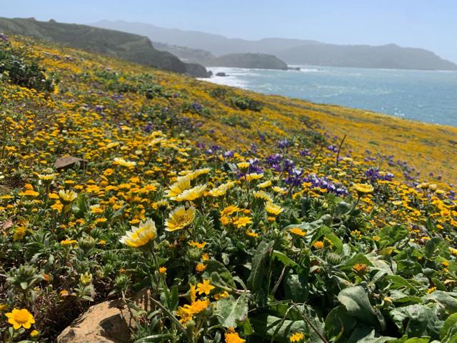 MLS #ML82023650 image #74