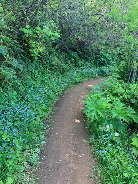 MLS #ML82023650 image #75