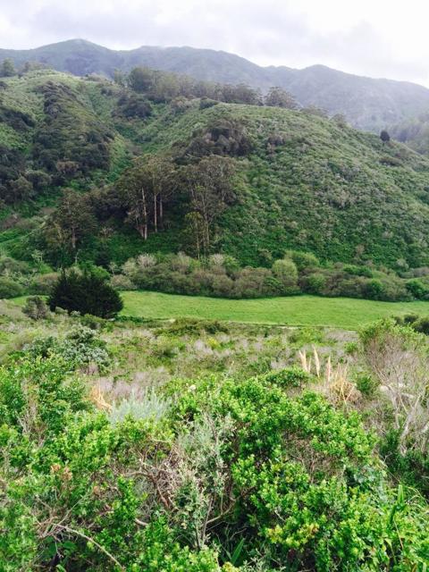 MLS #ML82023650 image #76