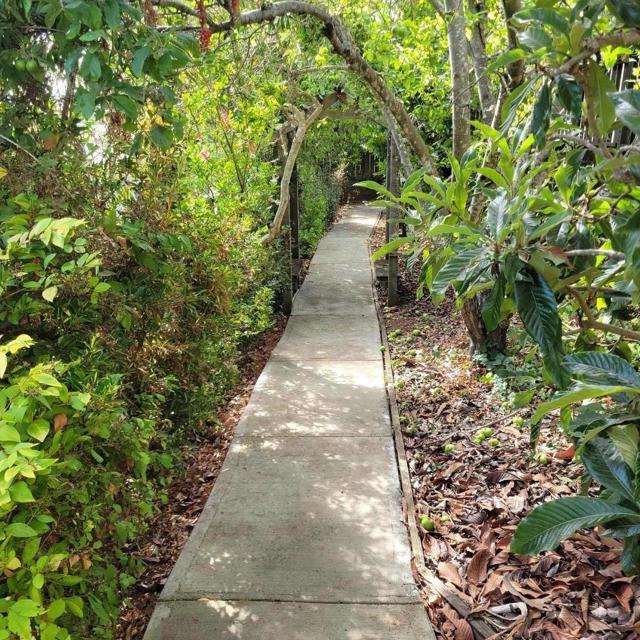 MLS #ML82023682 image #36