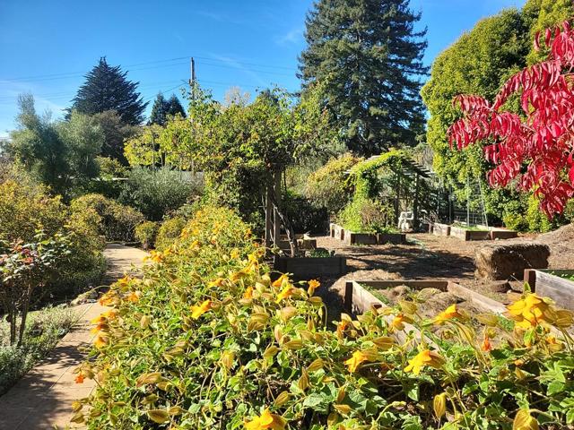 MLS #ML82023682 image #38