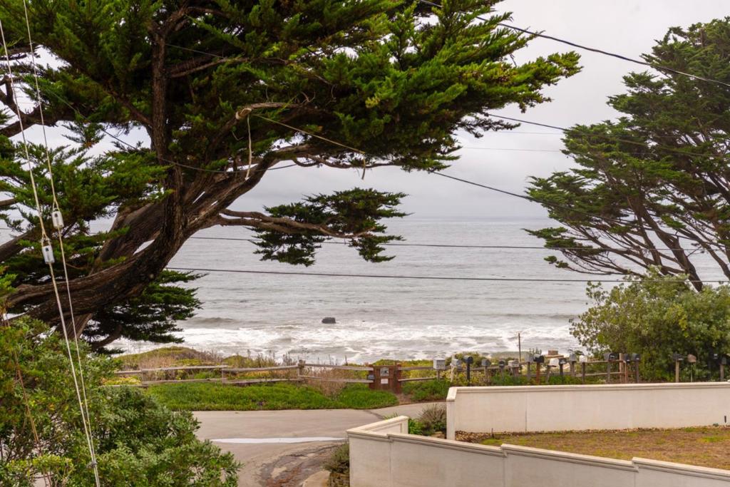 MLS #ML82023760 image #21