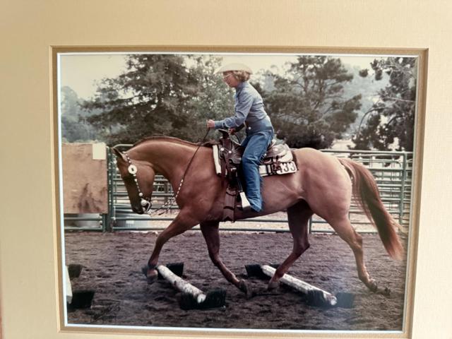 MLS #ML82023762 image #49