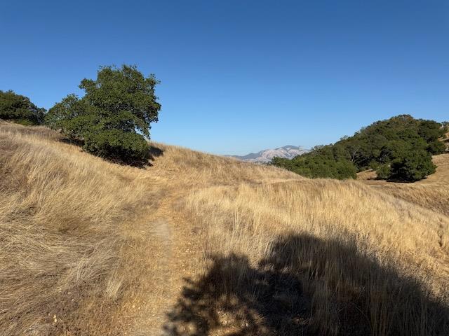 MLS #ML82023762 image #63