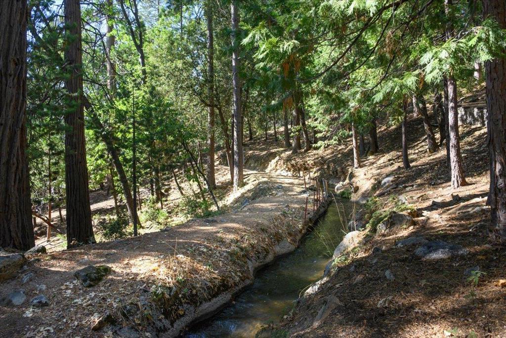 MLS #ML82023794 image #11