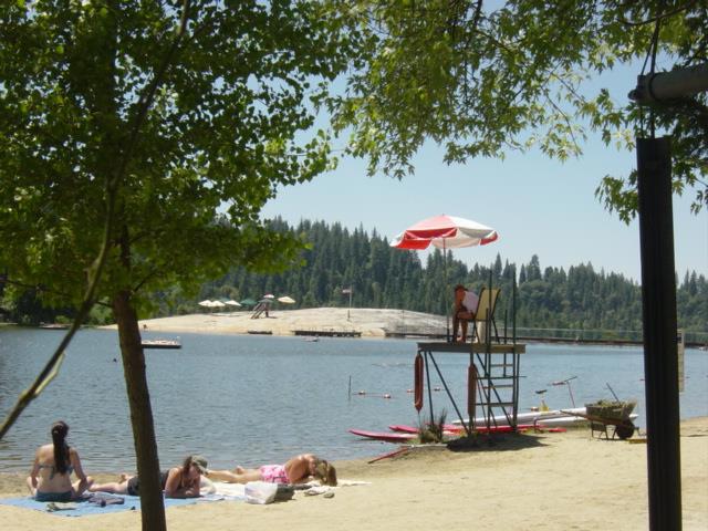 MLS #ML82023794 image #41