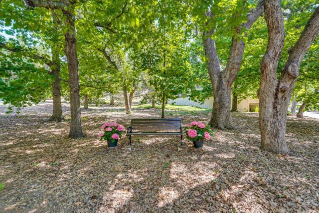 MLS #ML82023978 image #70