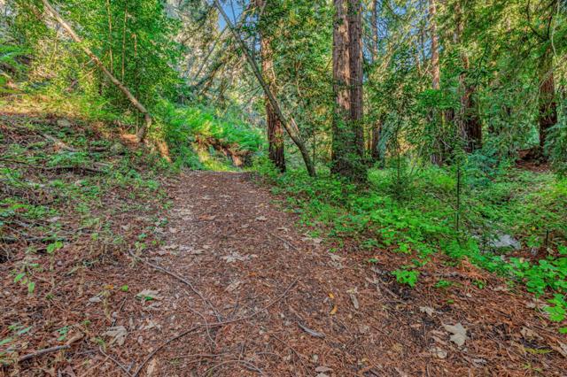 MLS #ML82024350 image #10