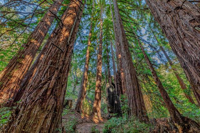 MLS #ML82024350 image #13