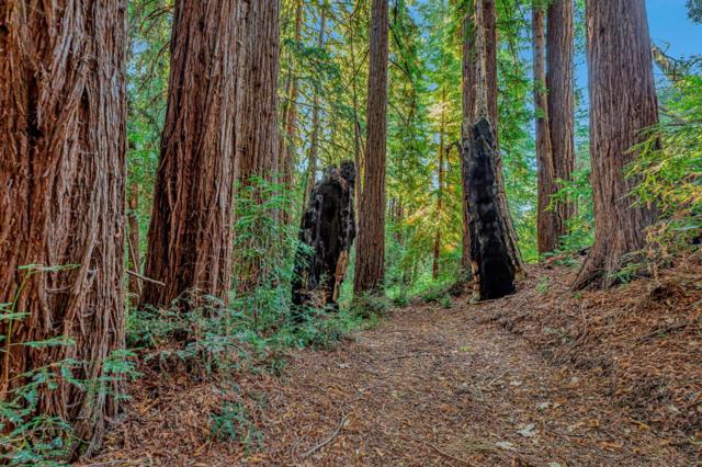 MLS #ML82024350 image #15