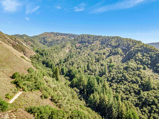 MLS #ML82024350 image #50