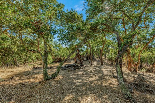 MLS #ML82024350 image #68