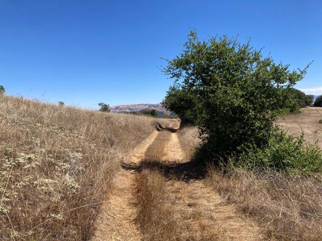 MLS #ML82024350 image #75