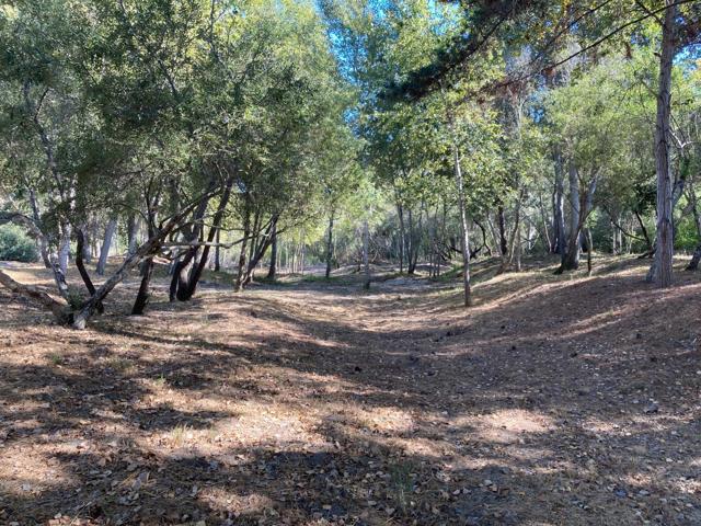 MLS #ML82024350 image #98