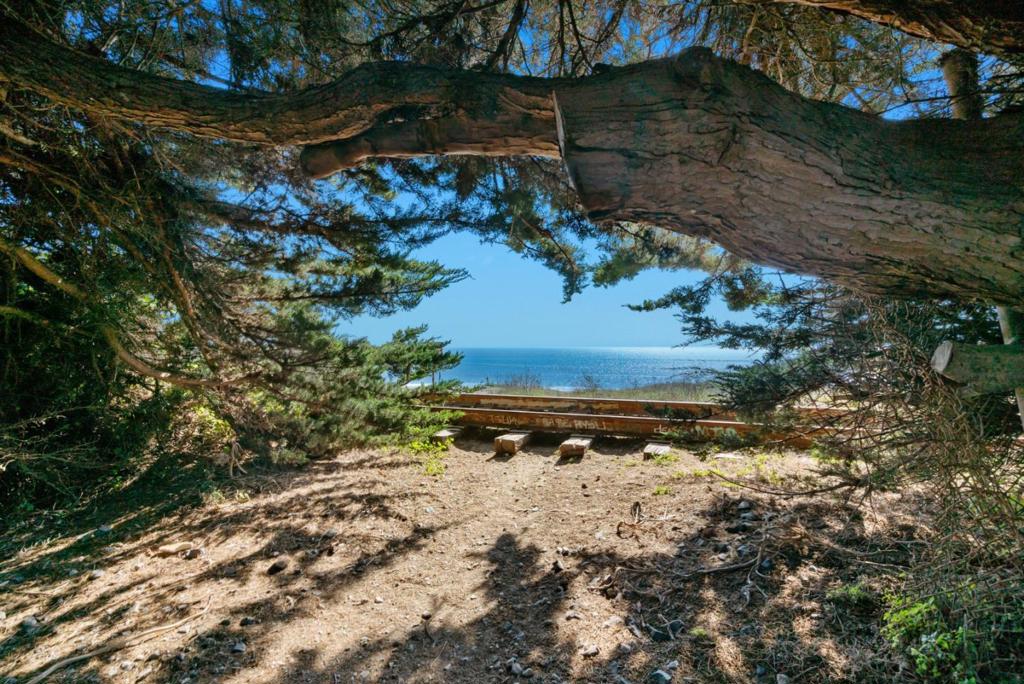 MLS #ML82024366 image #144