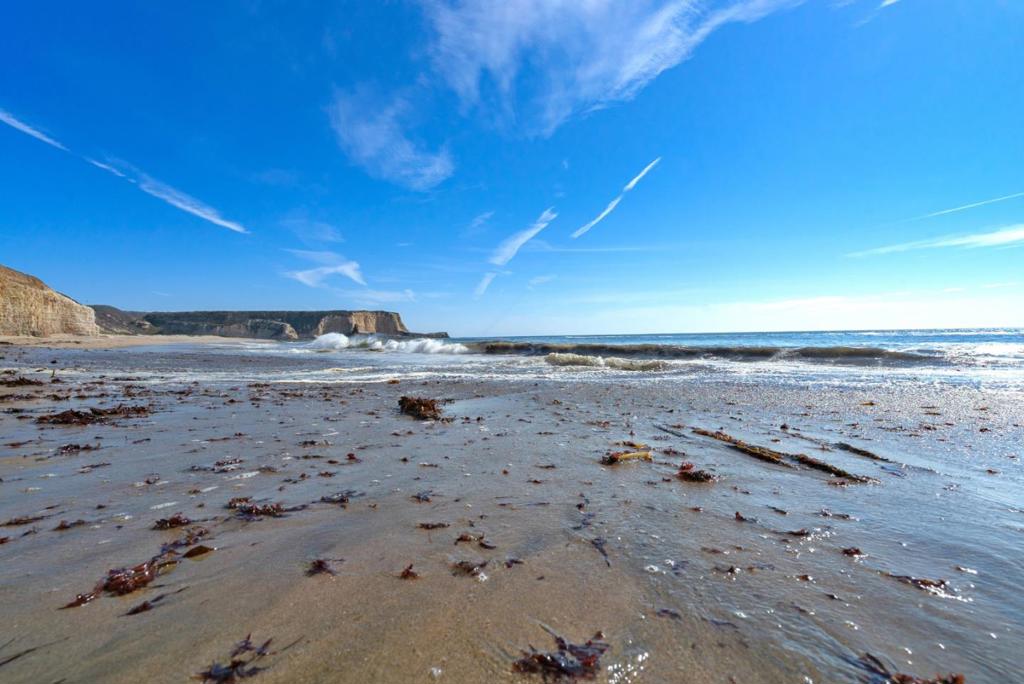 MLS #ML82024366 image #146