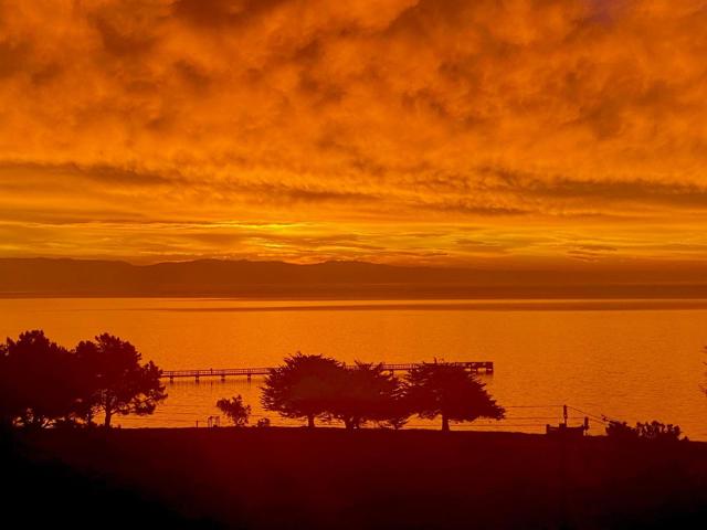 MLS #ML82024459 image #33