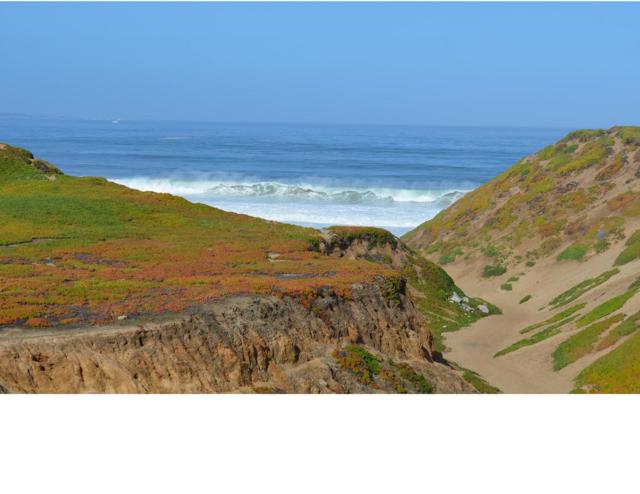 MLS #ML82024506 image #39