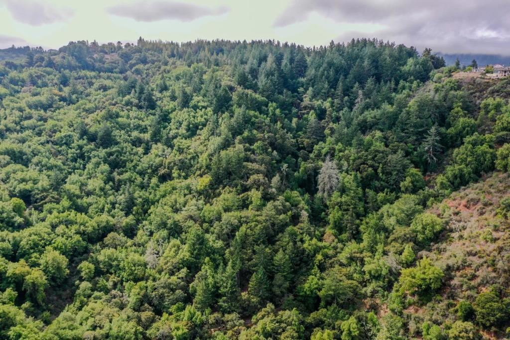 MLS #ML82024515 image #3