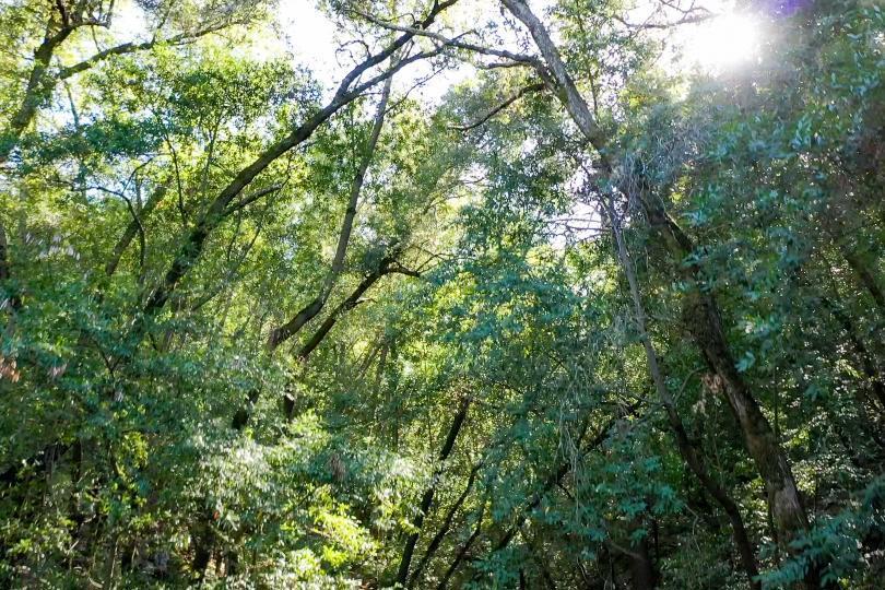 MLS #ML82024515 image #6