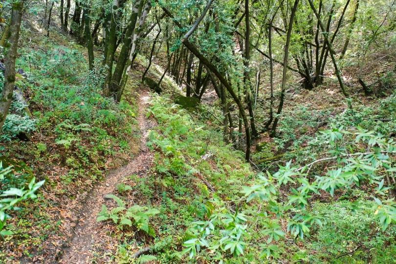 MLS #ML82024515 image #8