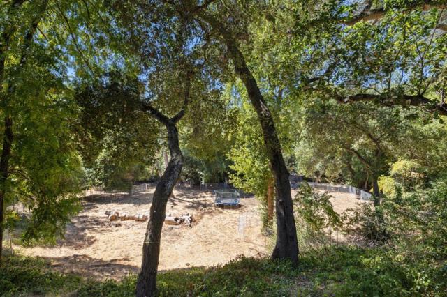 MLS #ML82024540 image #19