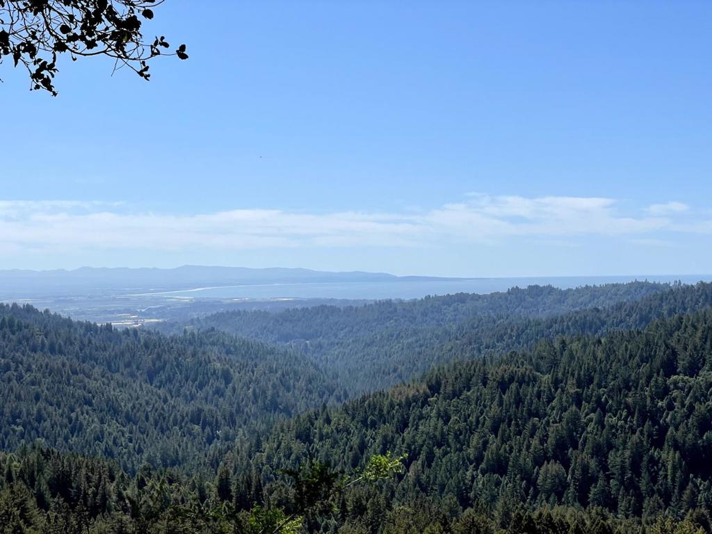 MLS #ML82024585 image #1