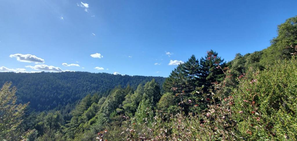 MLS #ML82024585 image #12