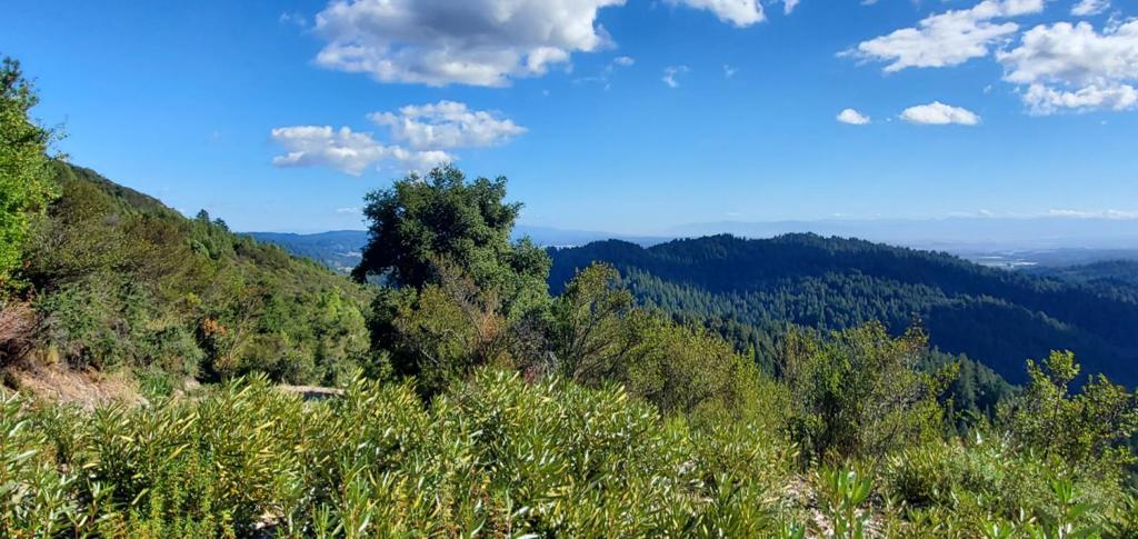 MLS #ML82024585 image #17