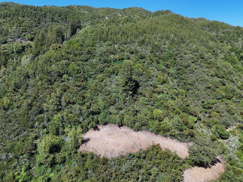 MLS #ML82024585 image #3