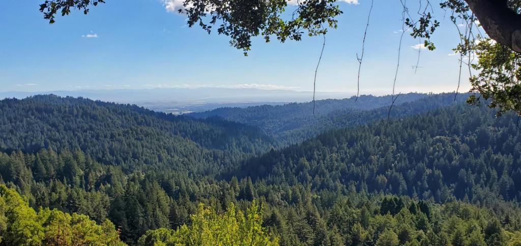 MLS #ML82024585 image #7