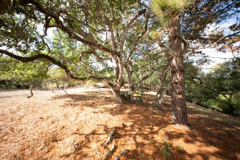 MLS #ML82024638 image #10