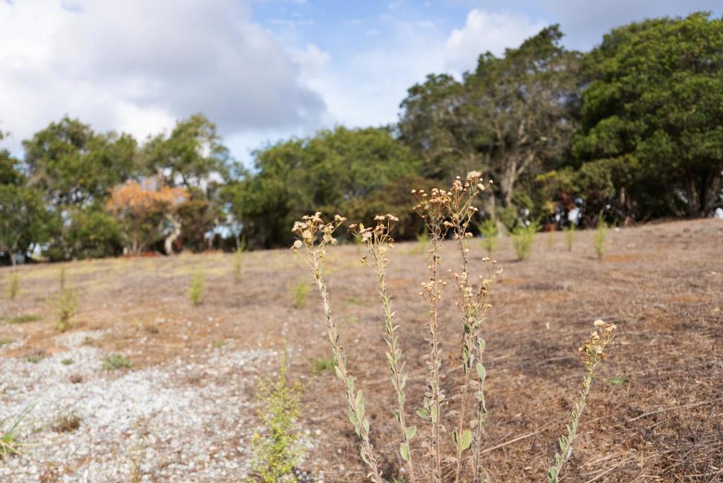 MLS #ML82024638 image #11