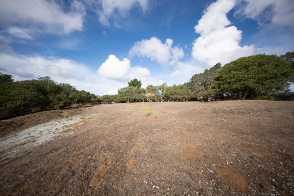 MLS #ML82024638 image #6