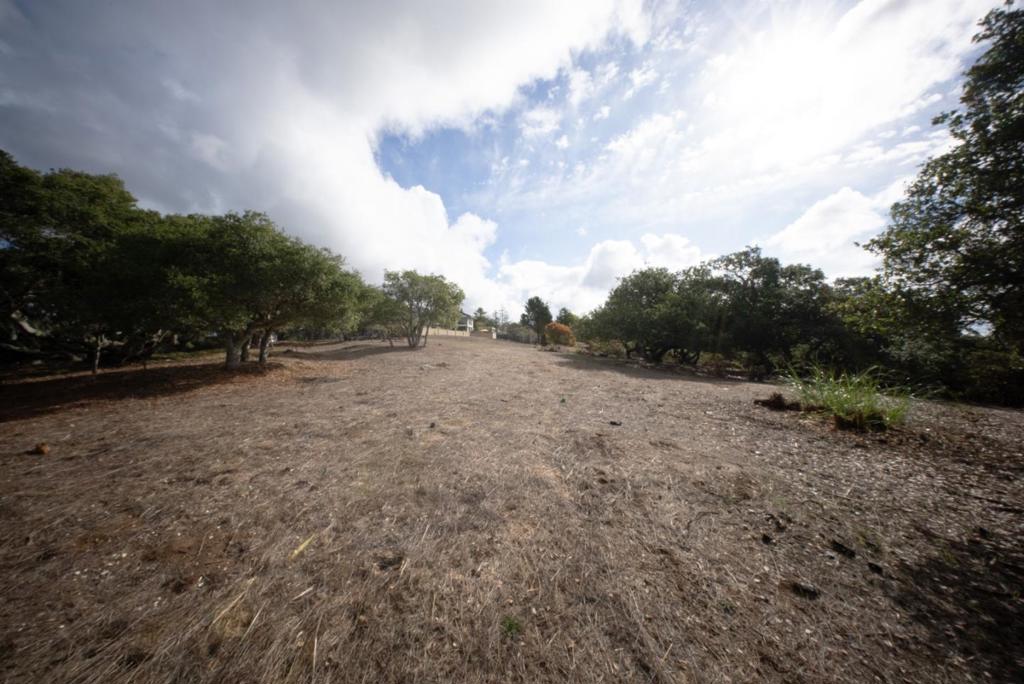 MLS #ML82024638 image #8