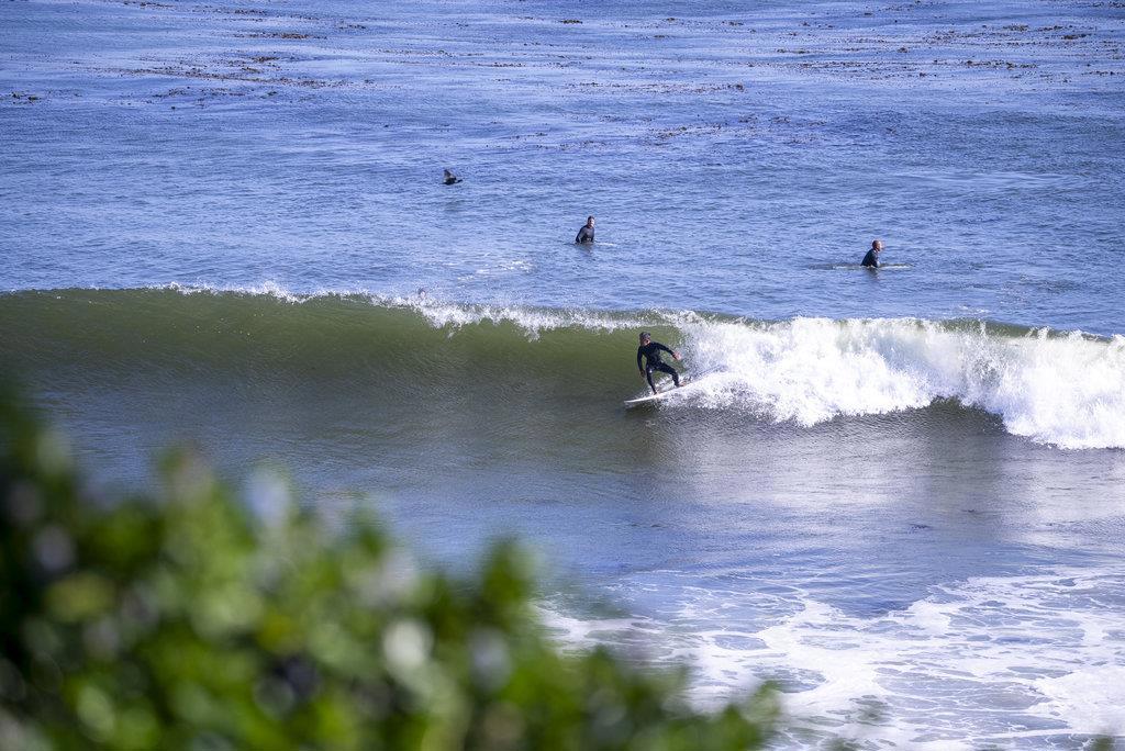 MLS #ML82024738 image #23