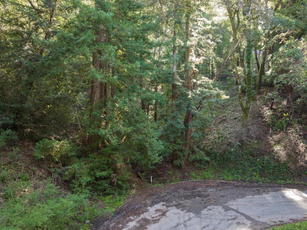 MLS #ML82024806 image #1