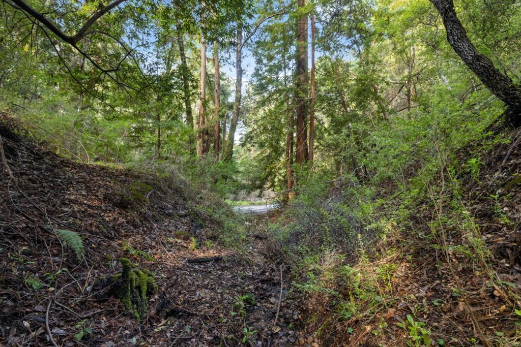 MLS #ML82024806 image #5