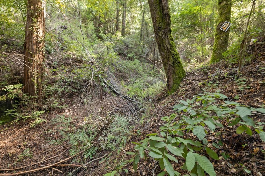 MLS #ML82024806 image #6