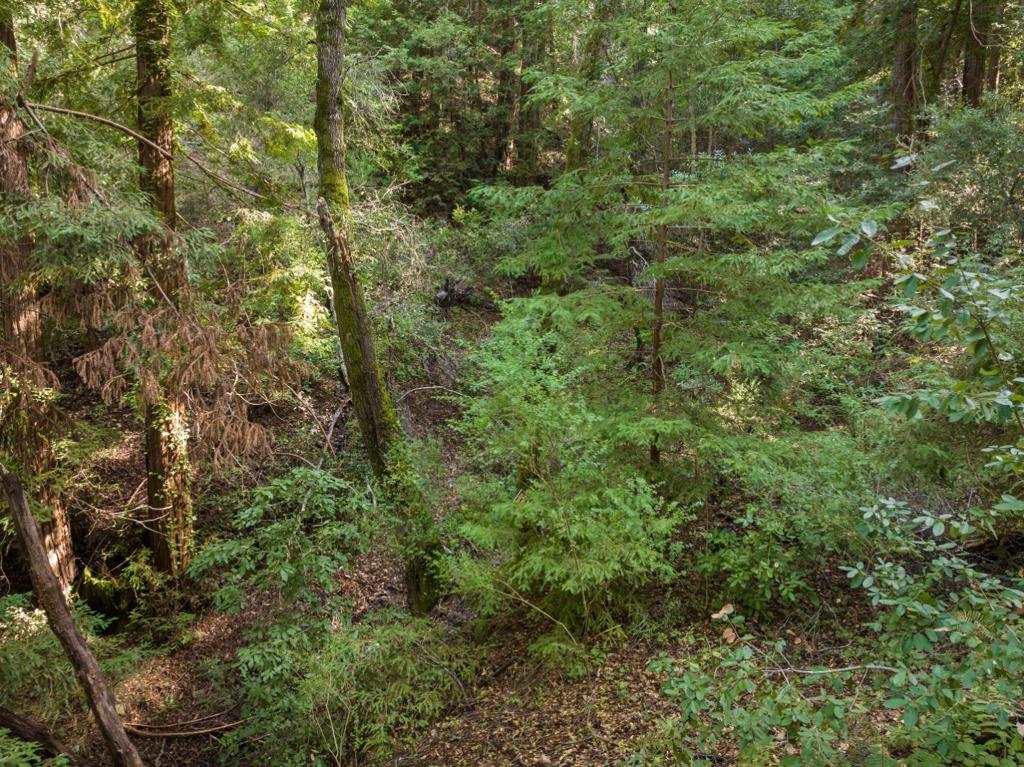 MLS #ML82024806 image #7