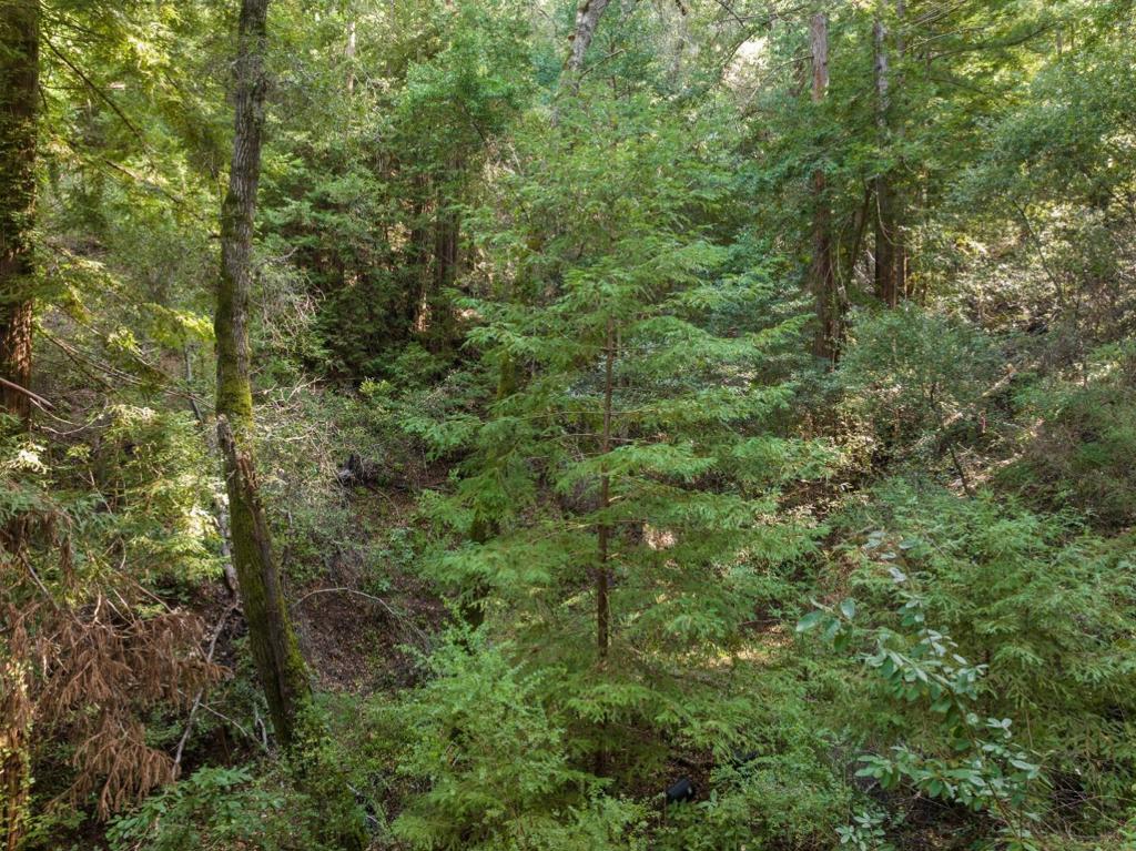 MLS #ML82024806 image #8