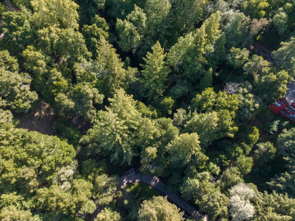 MLS #ML82024806 image #9