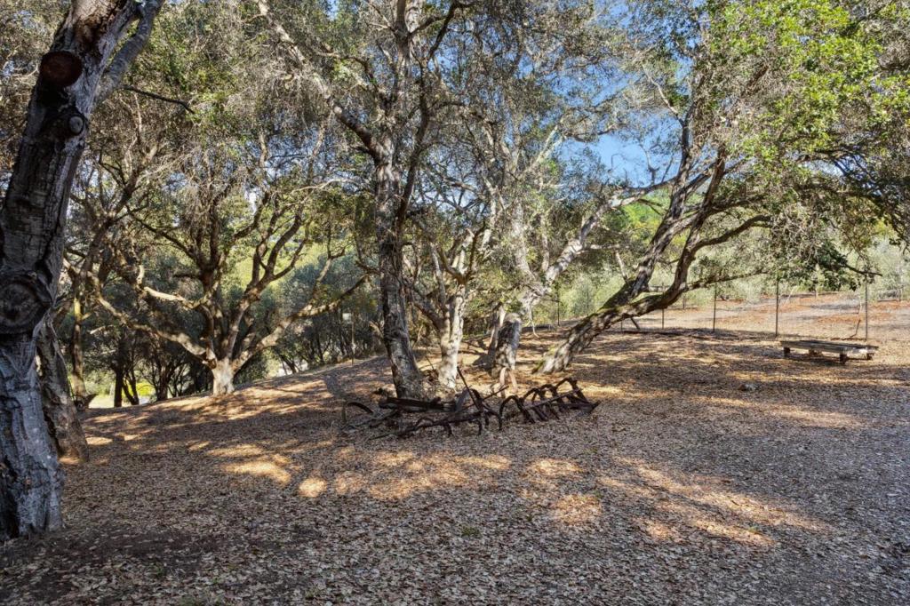 MLS #ML82024933 image #92