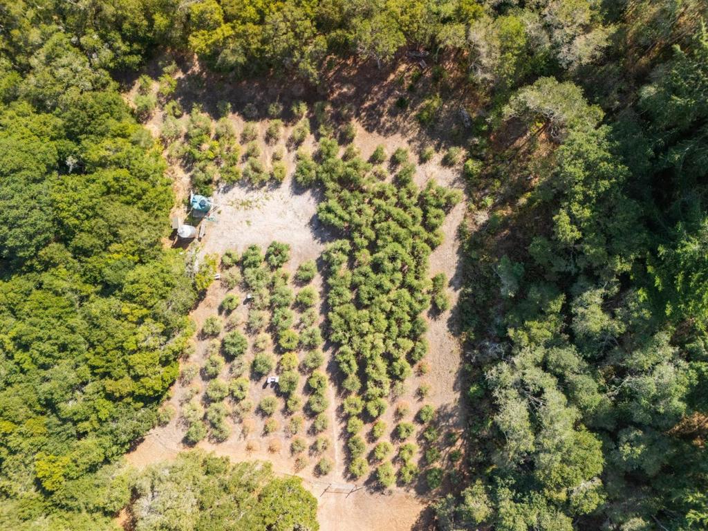 MLS #ML82024933 image #93