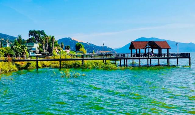 MLS #ML82024958 image #29