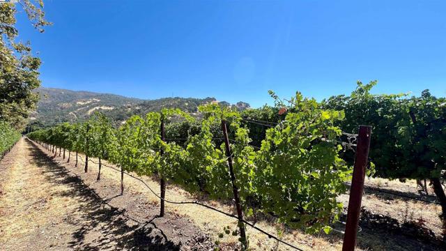 MLS #ML82024958 image #31