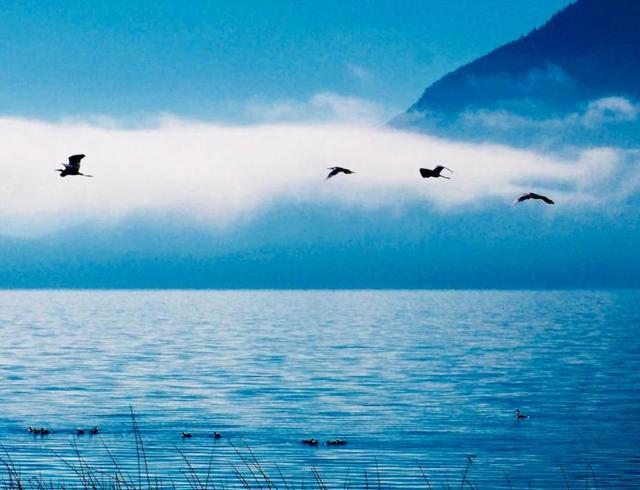 MLS #ML82024958 image #33