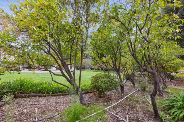 MLS #ML82025120 image #43