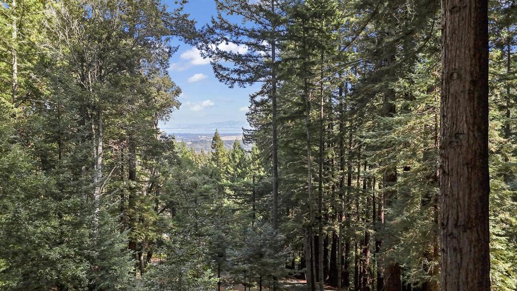 MLS #ML82025271 image #40