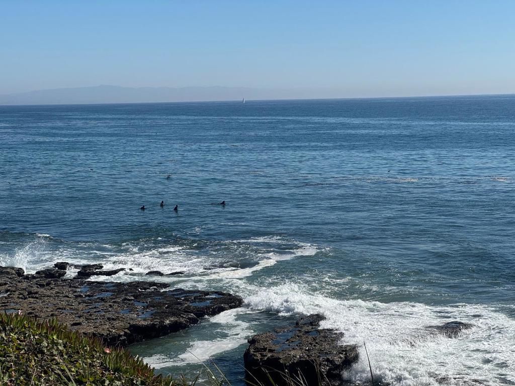 MLS #ML82025356 image #14